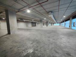 Suites 123 (D8), Warehouse #575776271